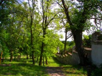 /album/foto-s-sharovka/s-sharovka-002-jpg/